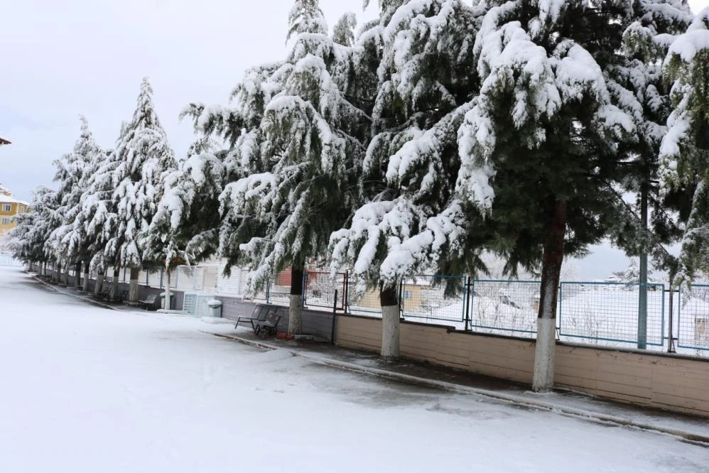 Çameli'de kar tatili