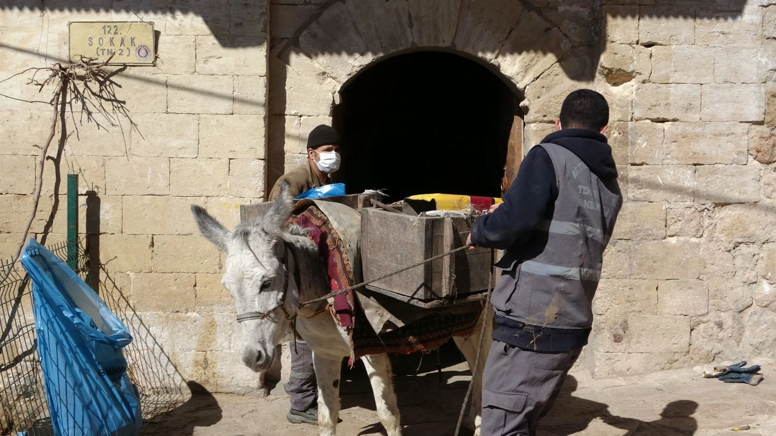 Kadrolu eşekler ilçenin çöp yükünü çekiyor