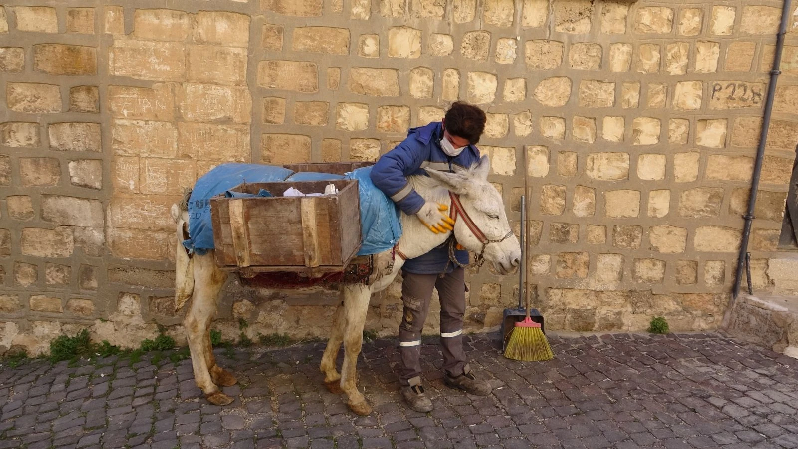 Kadrolu eşekler ilçenin çöp yükünü çekiyor