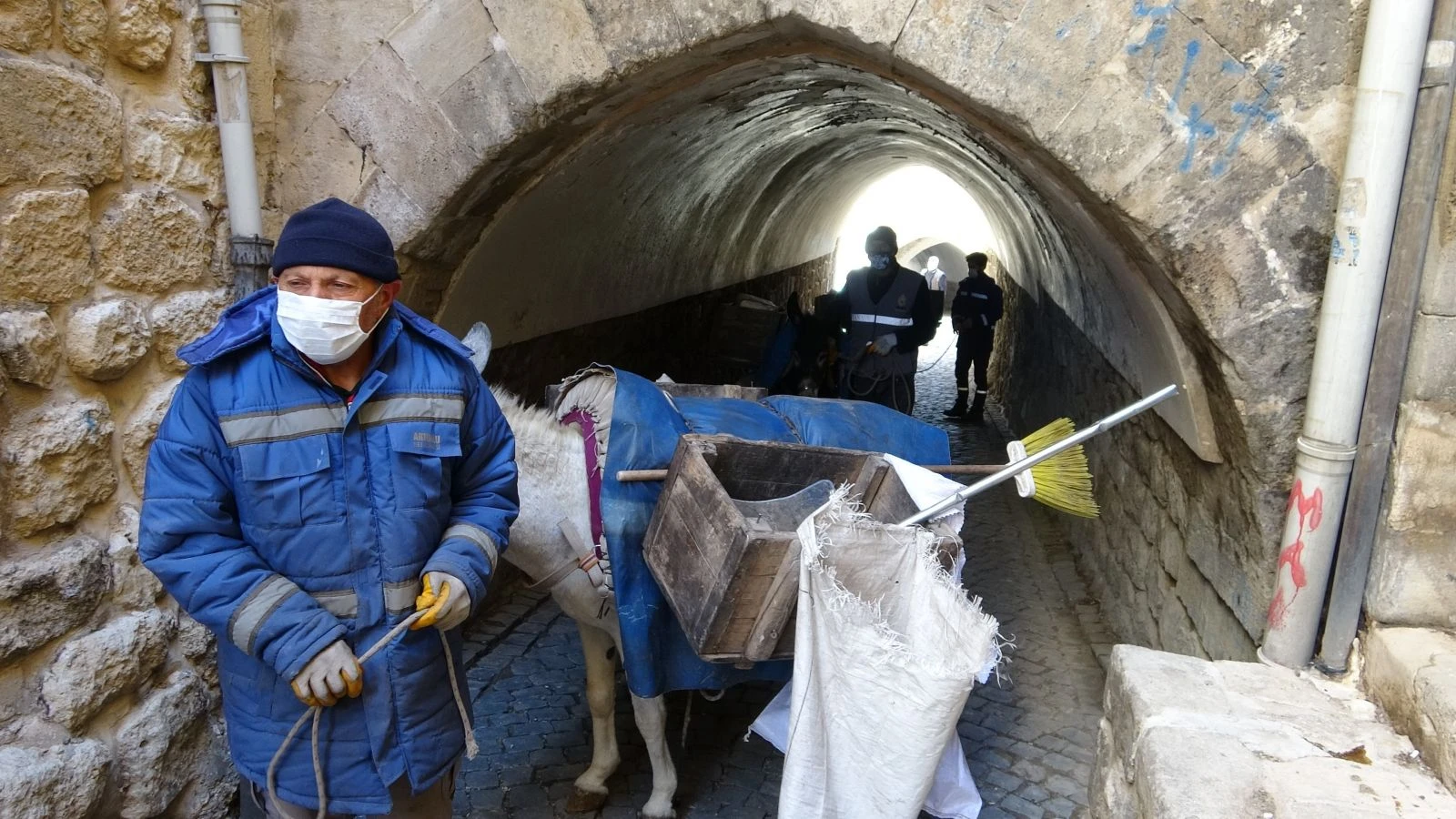 Kadrolu eşekler ilçenin çöp yükünü çekiyor