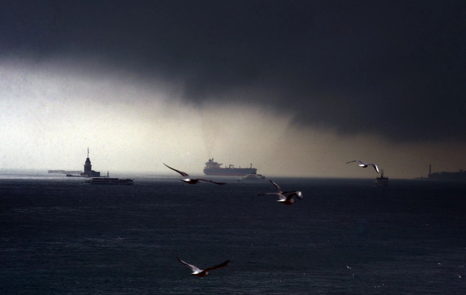 Kar beklerken ürkütücü manzarayla karşılaştılar