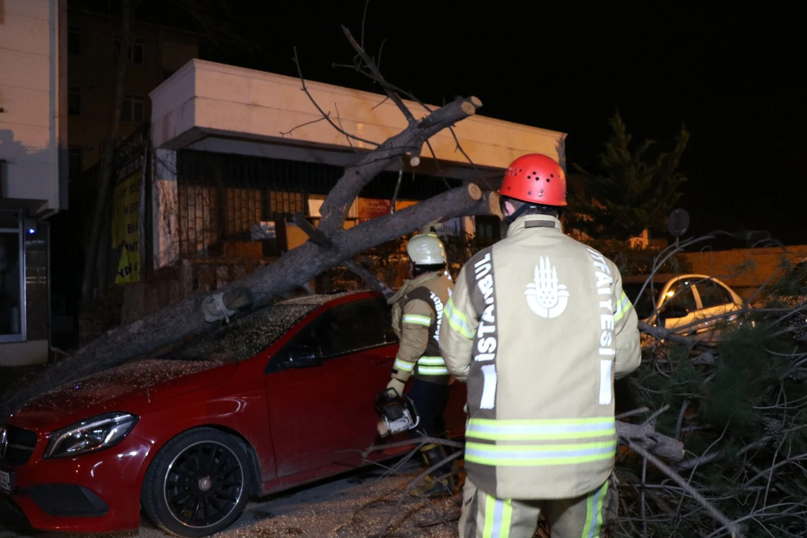 Ağaç, lüks otomobilin üstüne devrildi