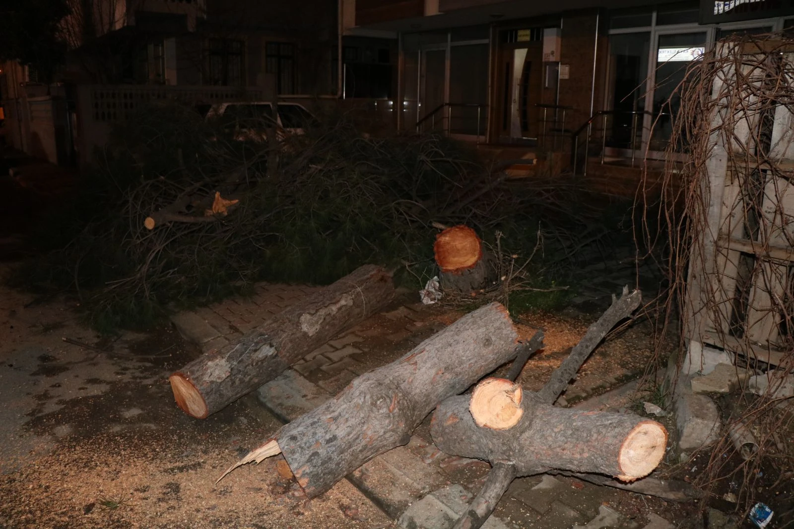 Ağaç, lüks otomobilin üstüne devrildi