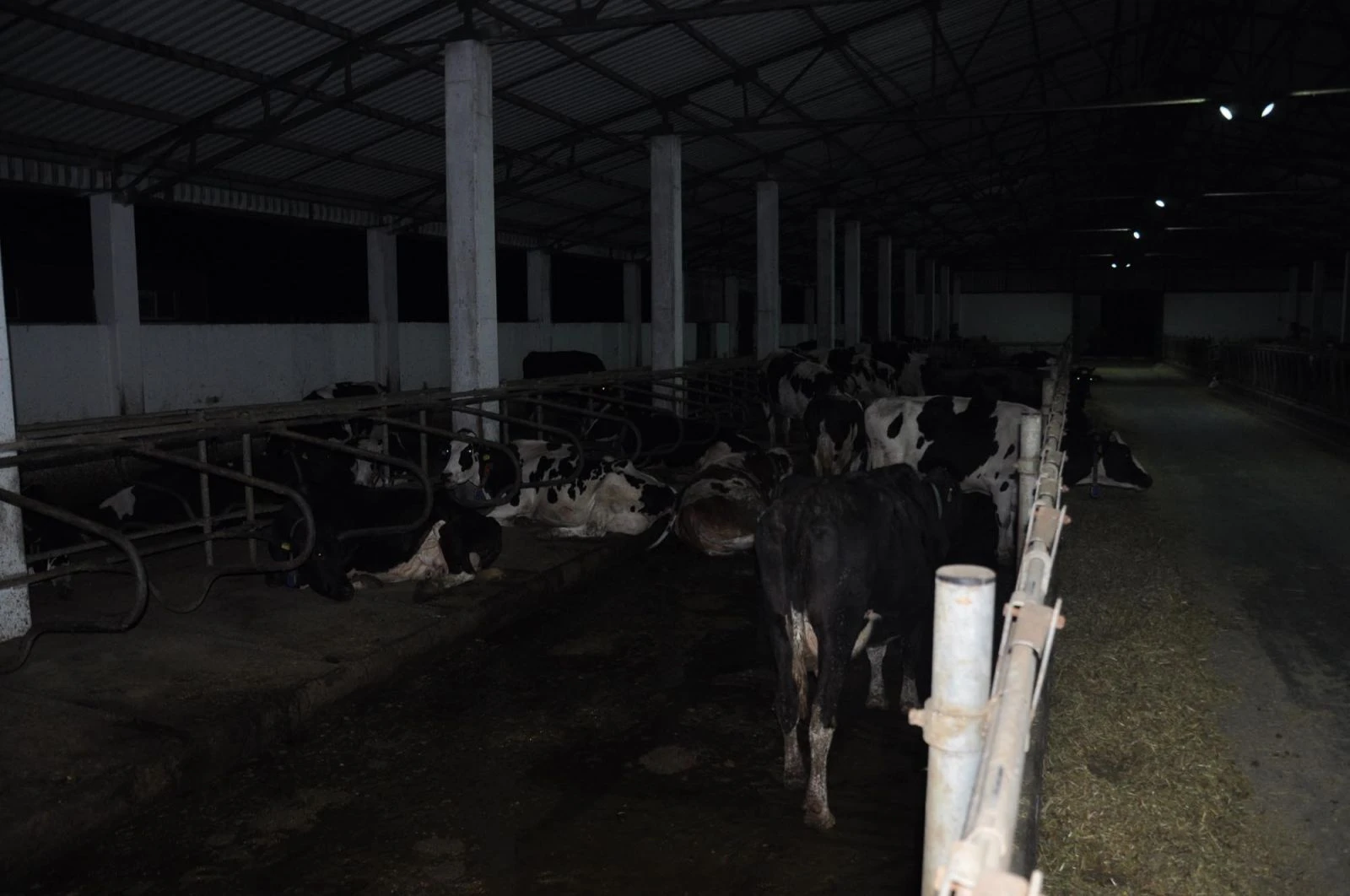 Çiftlik Bank mağdurları isyanda