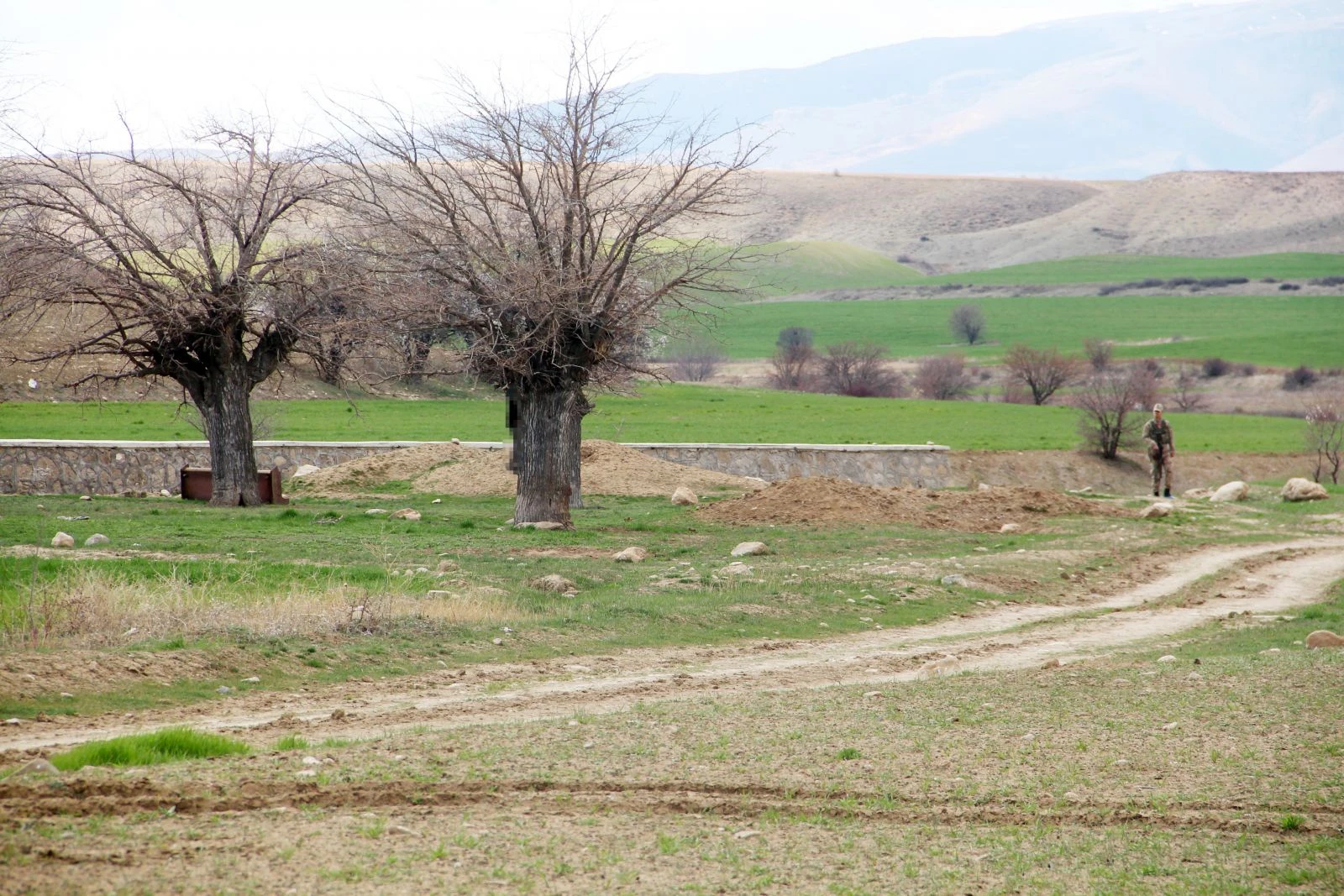Evladını ağaçta asılı bulan anne ve baba kriz geçirdi