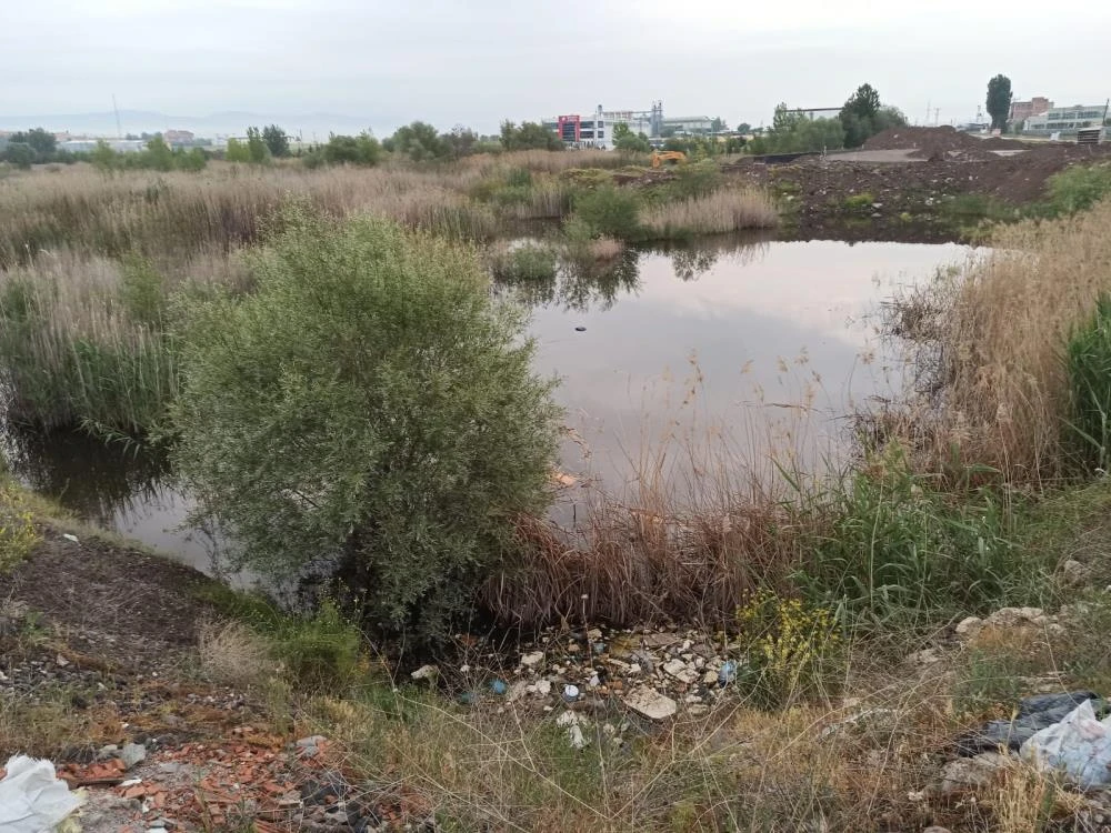 Tabelaya çarpan otomobil dereye uçtu: 3 ölü, 1 yaralı