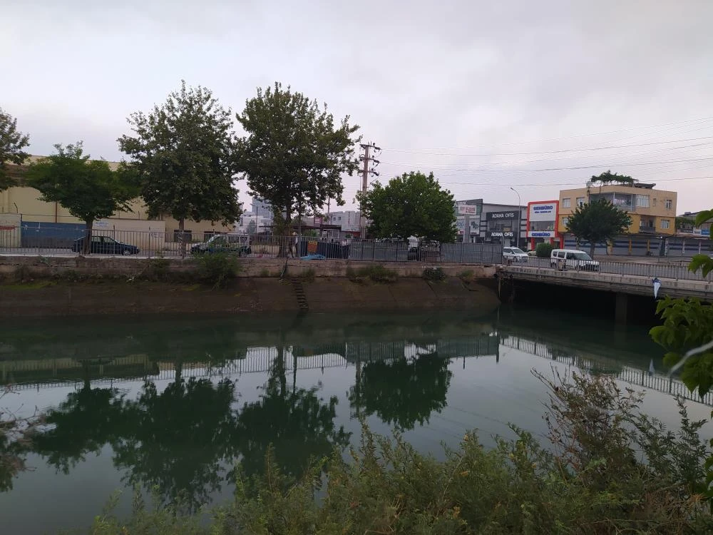 Serinlemek için girdiği suda can verdi