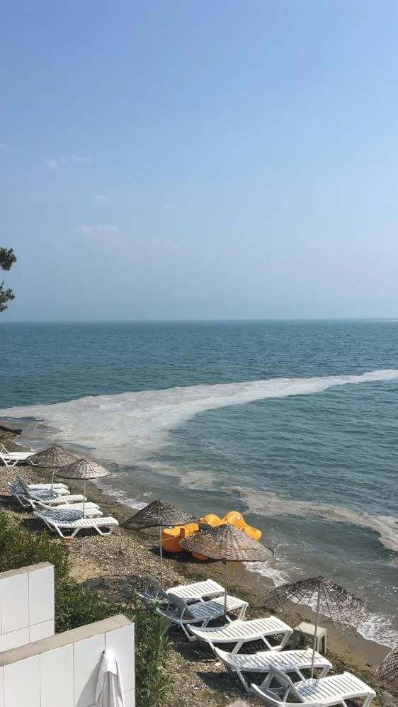 Bursa'da müsilaj kabusu: Geri döndü