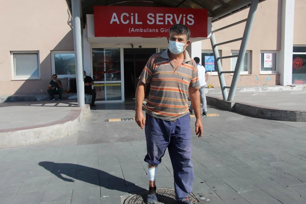 Acemi kasaplar kendilerini kestiler