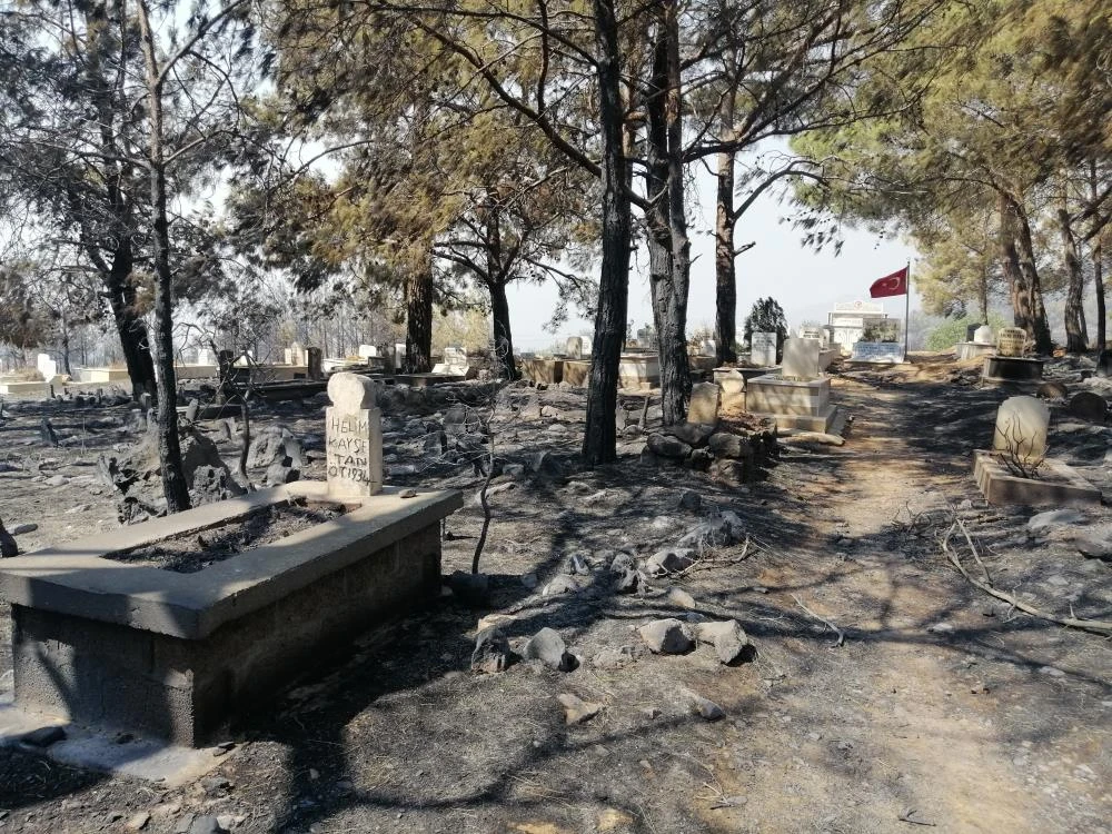 Çıkan yangında şehidimizin mezarı ve bayrağımız sapasağlam ayakta kaldı