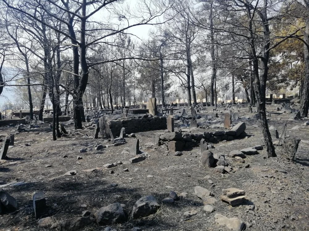 Çıkan yangında şehidimizin mezarı ve bayrağımız sapasağlam ayakta kaldı