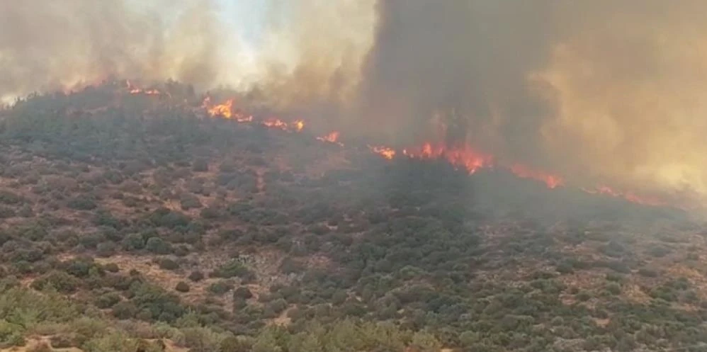 Bodrum'da yangın: Patlama sesi duyuldu