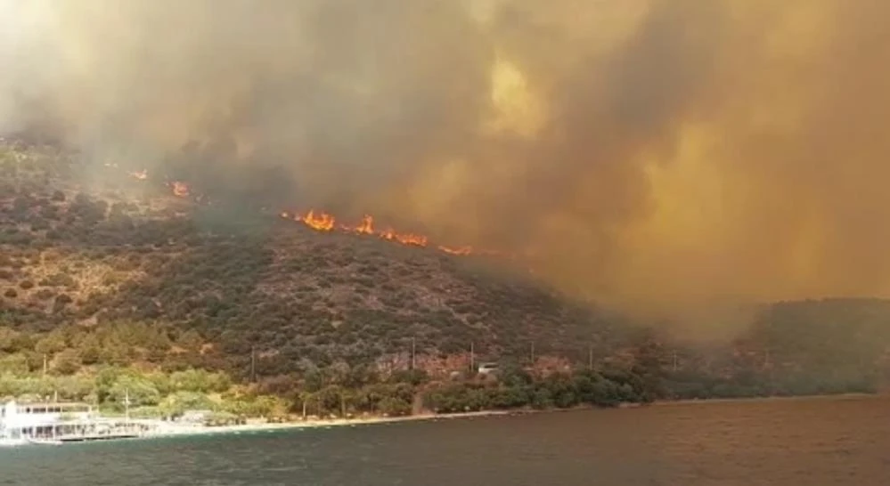 Bodrum'da yangın: Patlama sesi duyuldu