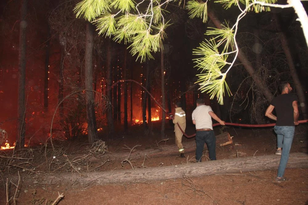 Canla başla mücadele: Alevler geceyi gündüze çevirdi