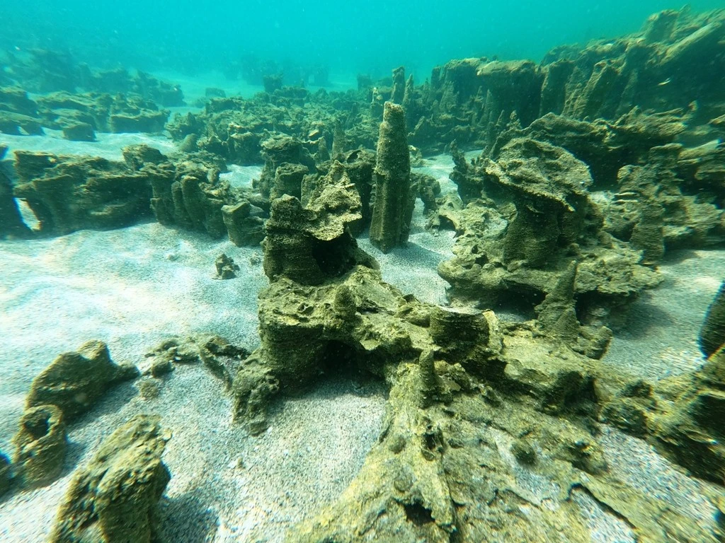 Van Gölü'nde yeni mikrobiyalitler keşfedildi