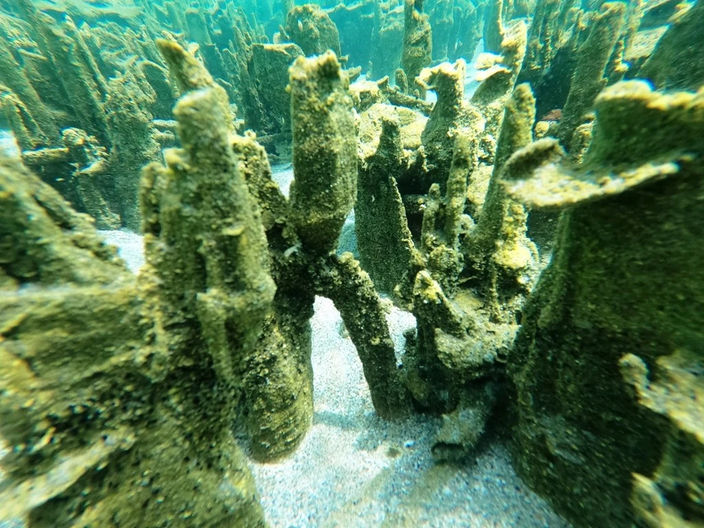 Van Gölü'nde yeni mikrobiyalitler keşfedildi