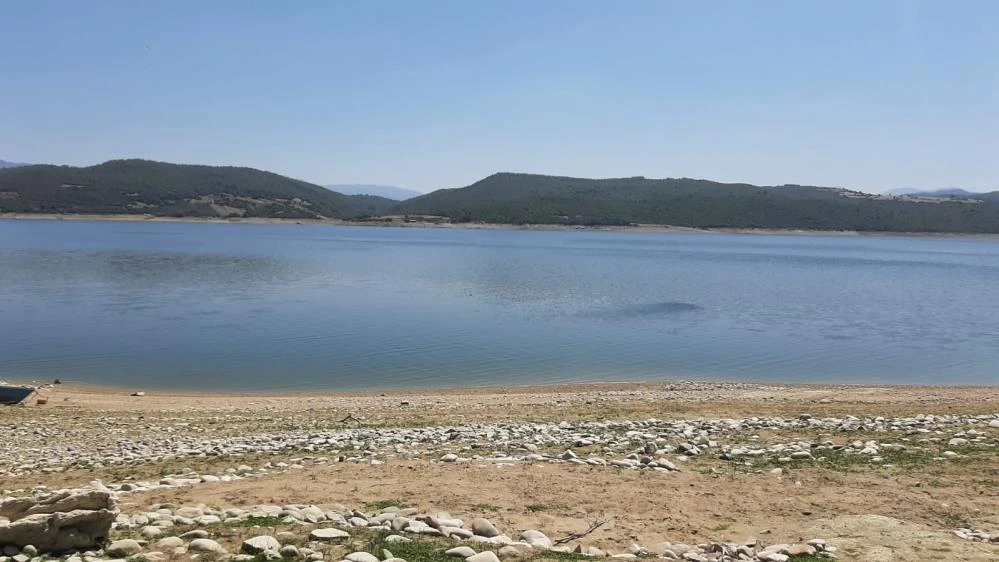 8 kişiye mezar olan uçakla ilgili flaş iddia: Düşmeden önce kuş sürüsüne çarptı