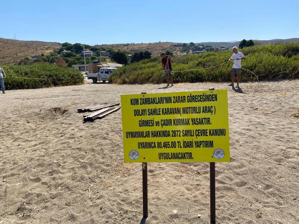 Kum zambaklarına dokunan yandı: Cezası 80 bin TL