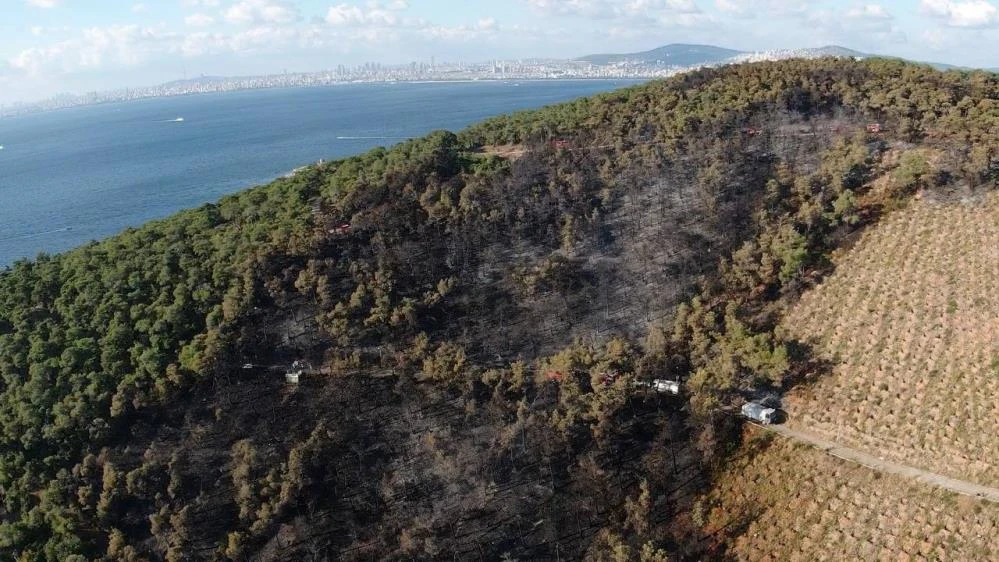 Son dakika haberi! Pakdemirli: Ormanın Kahramanları’nı yürekten kutluyorum