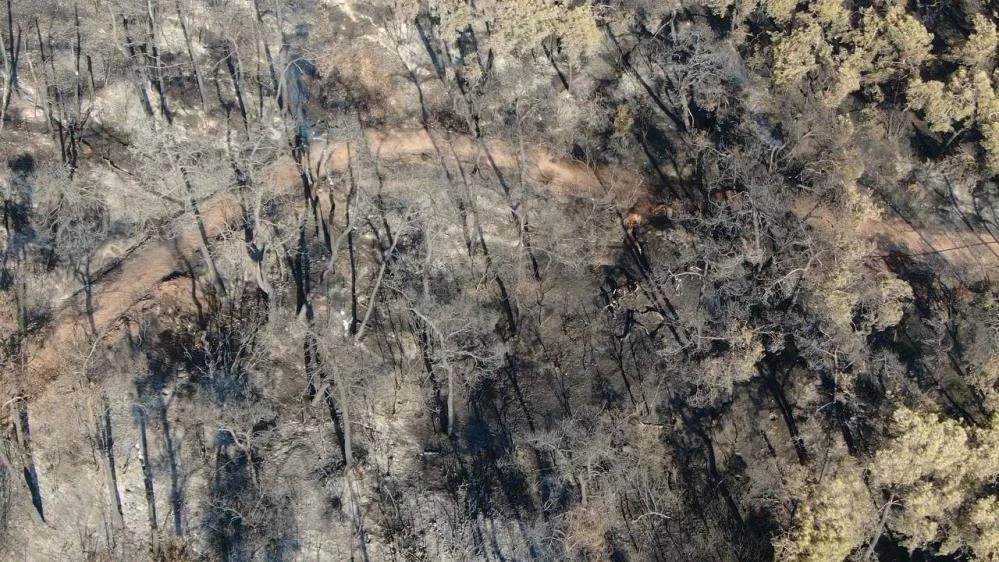 Son dakika haberi! Pakdemirli: Ormanın Kahramanları’nı yürekten kutluyorum