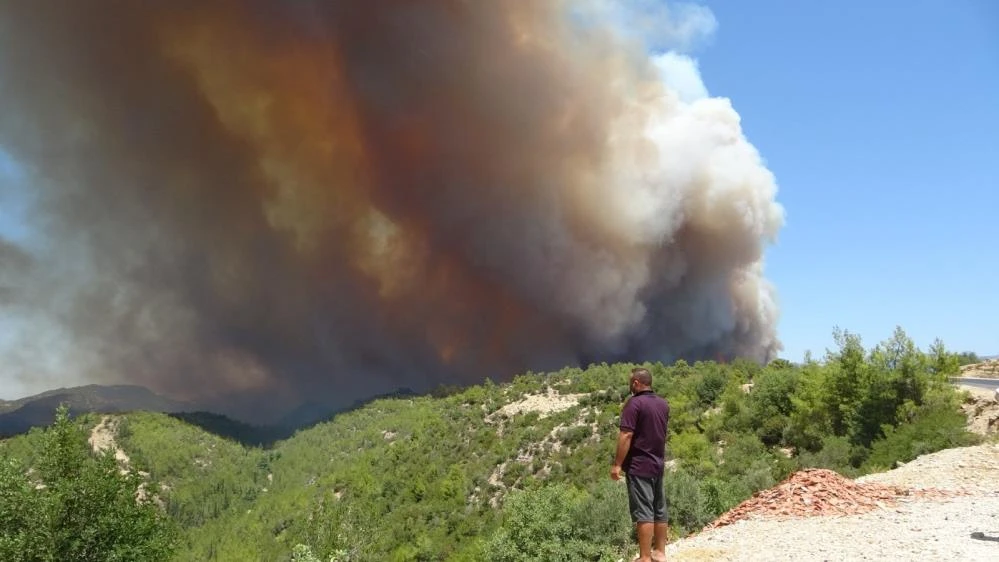 Manavgat yangınının şüphelisi, bedelini canıyla ödedi