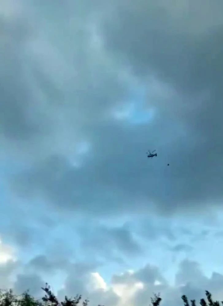 Son dakika haberi: Beykoz'da ormanlık alanda yangın