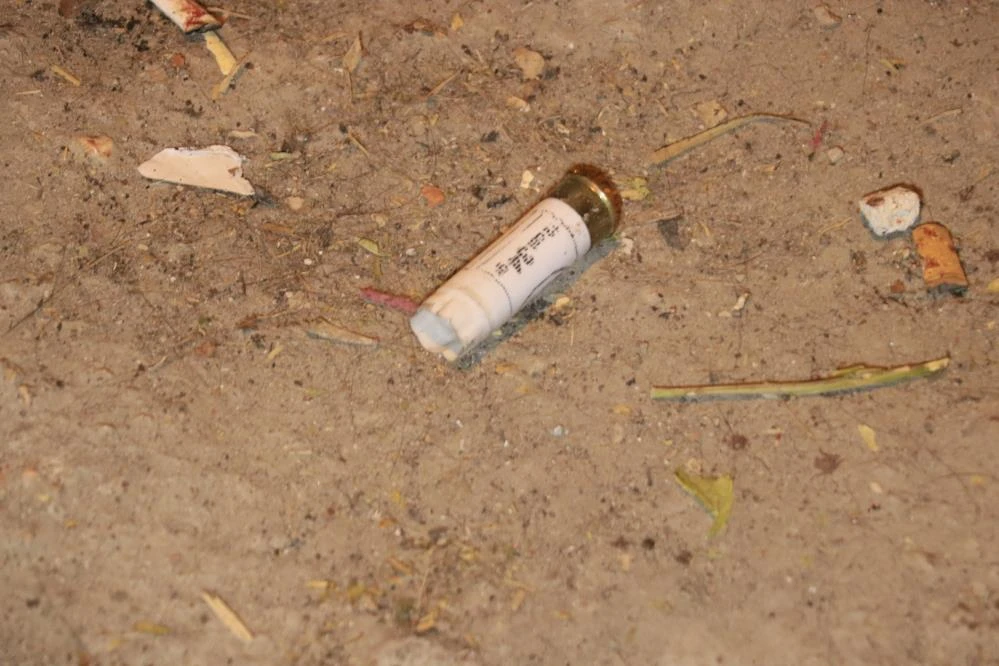 Cinnet getiren kişi babasını dövdü, kardeşini öldürdü