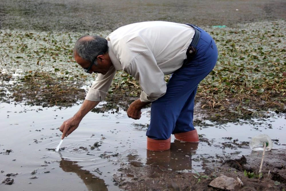 Sivas'taki sülük hırsızları köylüyü bezdirdi: Cezalar da işe yaramıyor