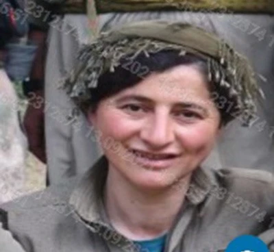 Son dakika! Öldürülen teröristin 1 milyon TL ödülle arandığı ortaya çıktı