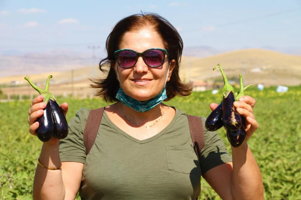 Fahiş fiyatlara kızdı, tarlasını halka açtı: Kendi sebzeni kendin topla