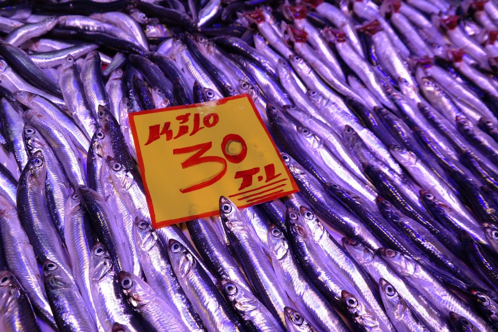 Hamsinin fiyatı 40 liraya dayandı