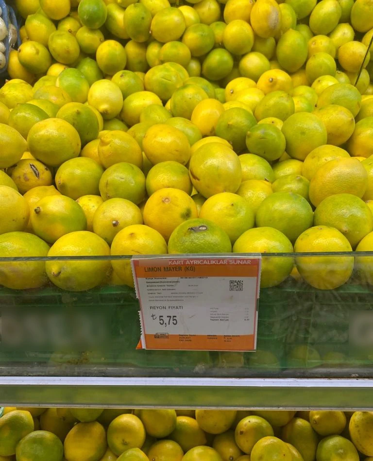Çiftçinin çöpe attığı ıskarta limon marketlerde 6 lira