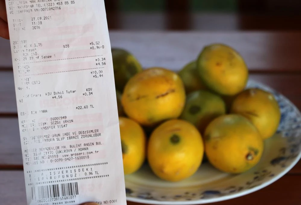Çiftçinin çöpe attığı ıskarta limon marketlerde 6 lira