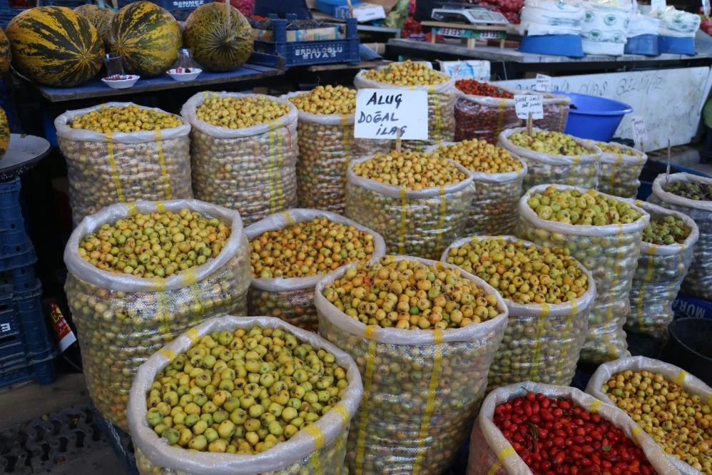 Bağışıklık dostu 'Aluç' kapış kapış gidiyor