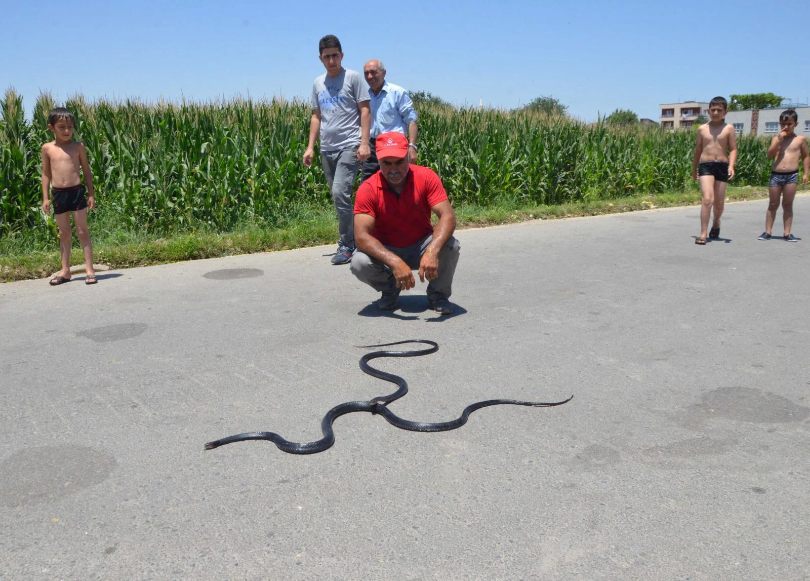 Korku dolu anlar! Yılanı tuttu ve...