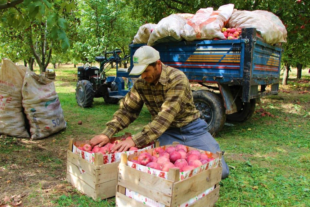 Dalında 1,5 lira olan elma manavda 6 lira