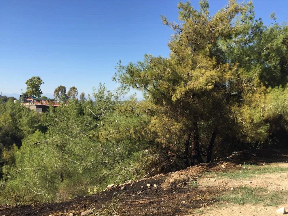 Adana'daki orman yangınının şüphelisini çakmak ele verdi! 'Çevre temiz olsun diye yaktım'