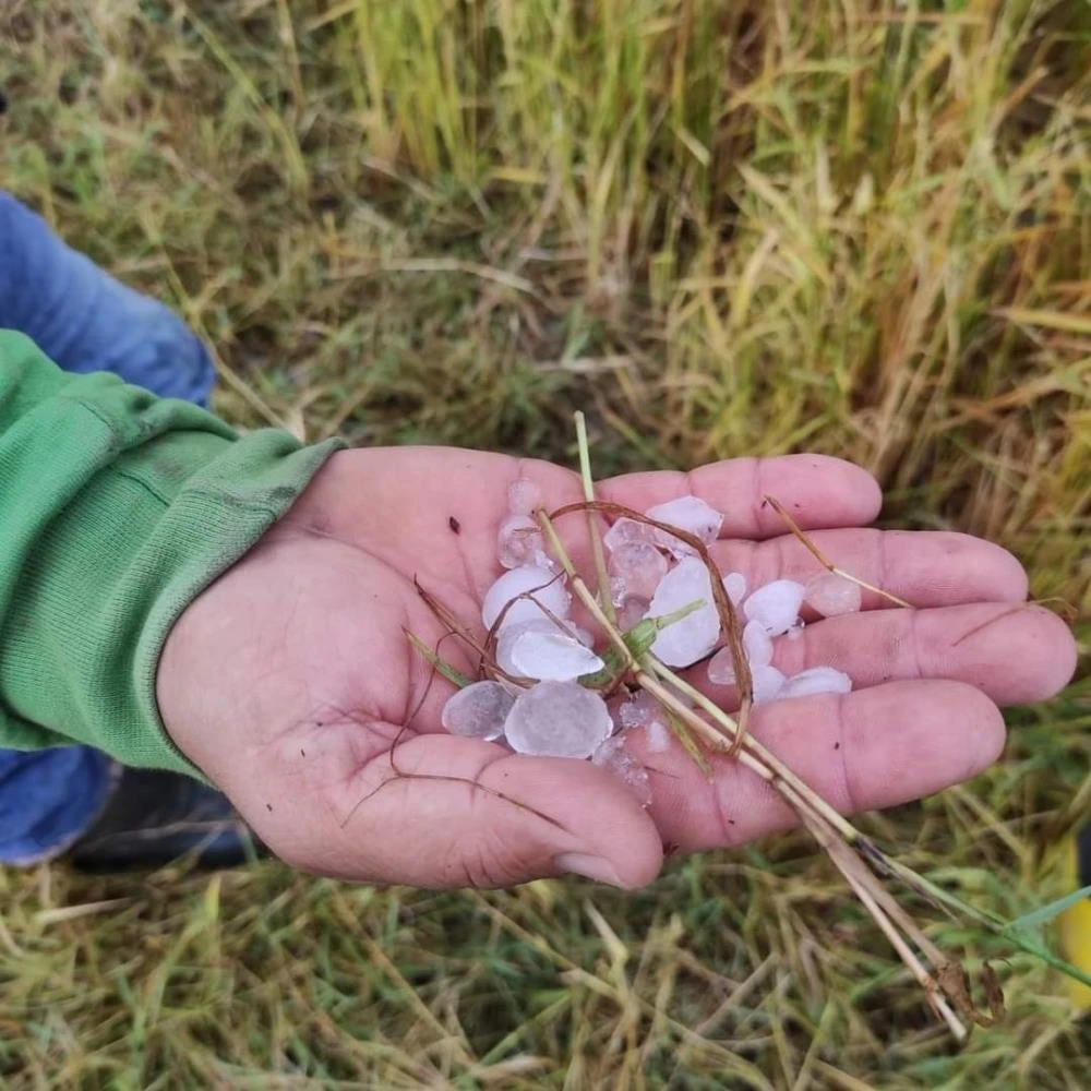Edirne'de ceviz büyüklüğünde dolu kabusu! Tenteyi ve masayı delip geçti