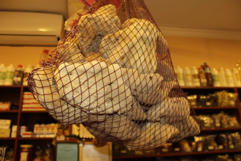 'Denizin akciğerleri' süngerler 4 bin liraya satılıyor