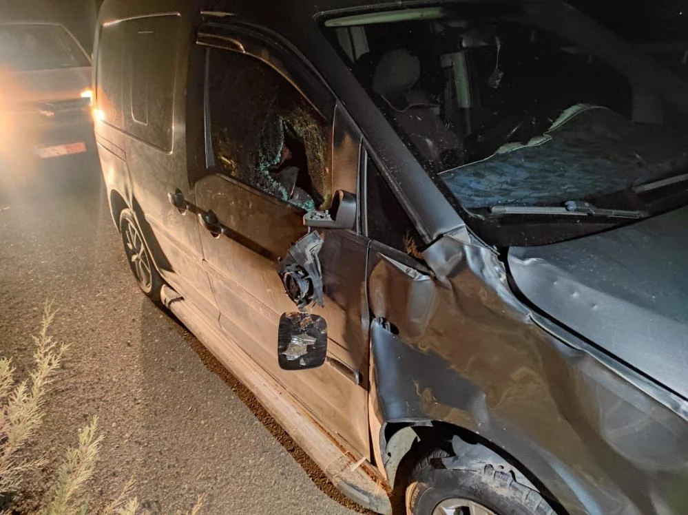 Batman'da inek ana yola atladı, 7 araç perte çıktı