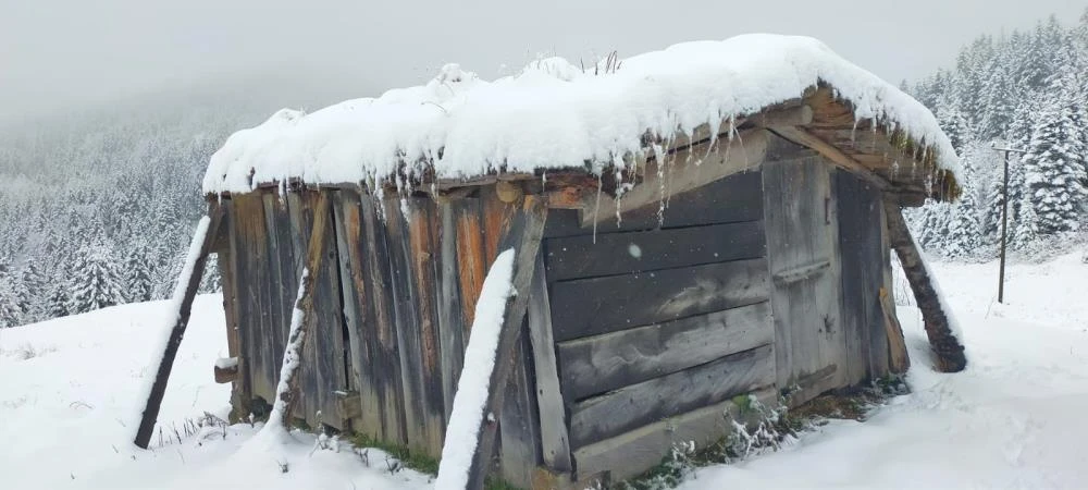 Mevsimin ilk karı yağdı! Yurdun dört yanı beyaza büründü