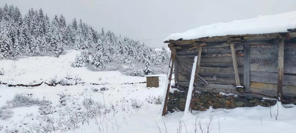 Mevsimin ilk karı yağdı! Yurdun dört yanı beyaza büründü