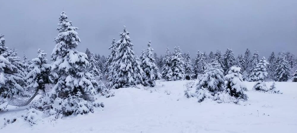 Mevsimin ilk karı yağdı! Yurdun dört yanı beyaza büründü