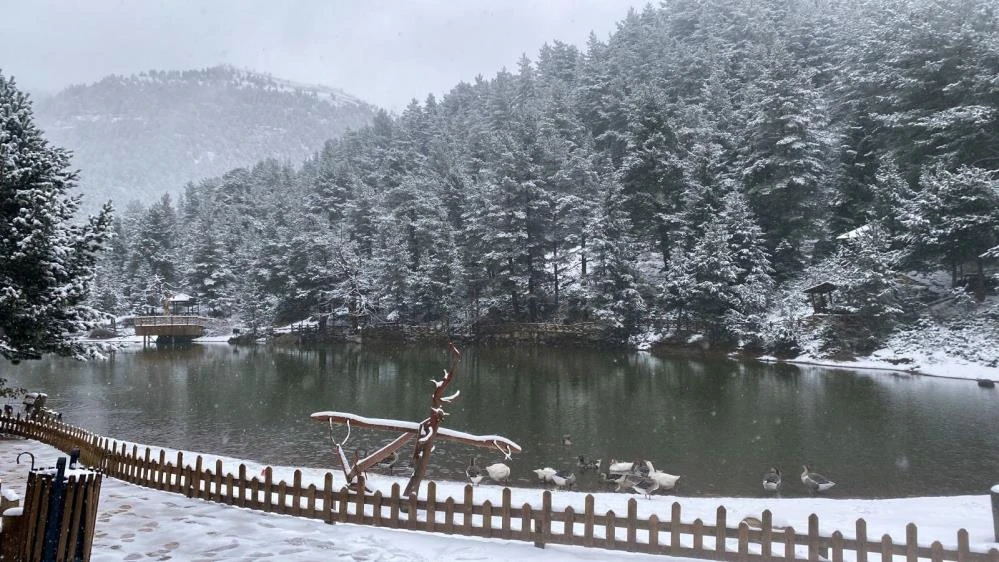 Mevsimin ilk karı yağdı! Yurdun dört yanı beyaza büründü