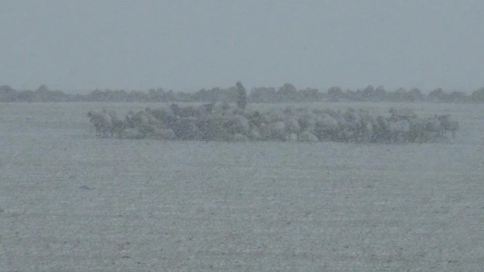 Mevsimin ilk karı yağdı! Yurdun dört yanı beyaza büründü