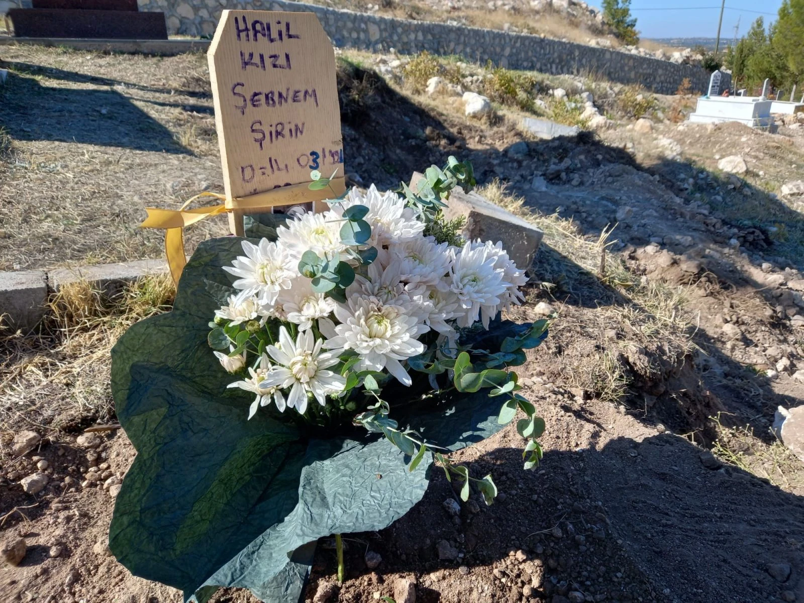 Şebnem Şirin'i öldüren Furkan Zıbıncı'nın ifadesi ortaya çıktı