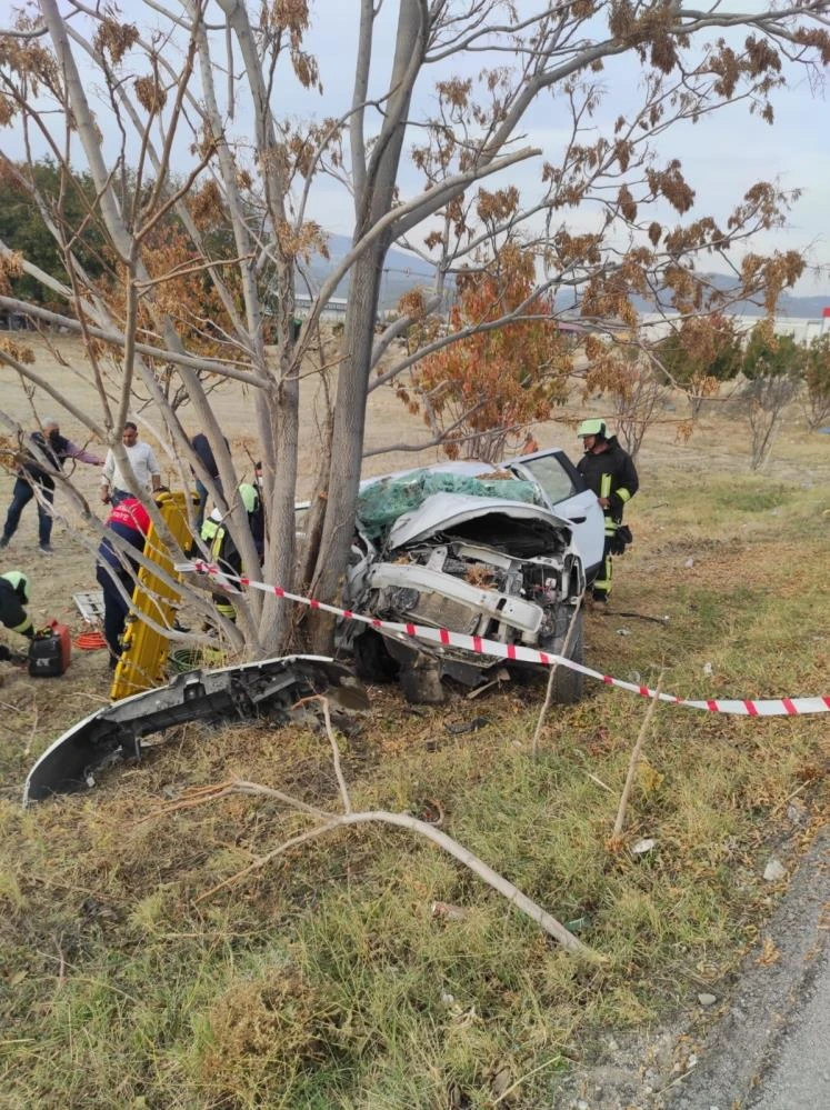 Yol ortasındaki köpeğe çarpmamak için direksiyonu kıran kadın hayatını kaybetti