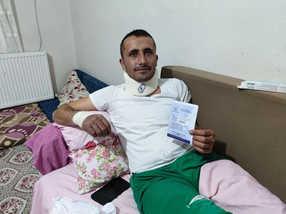 Ayı saldırısının adresi bu kez Bursa! 'Hakkımı helal etmiyorum'