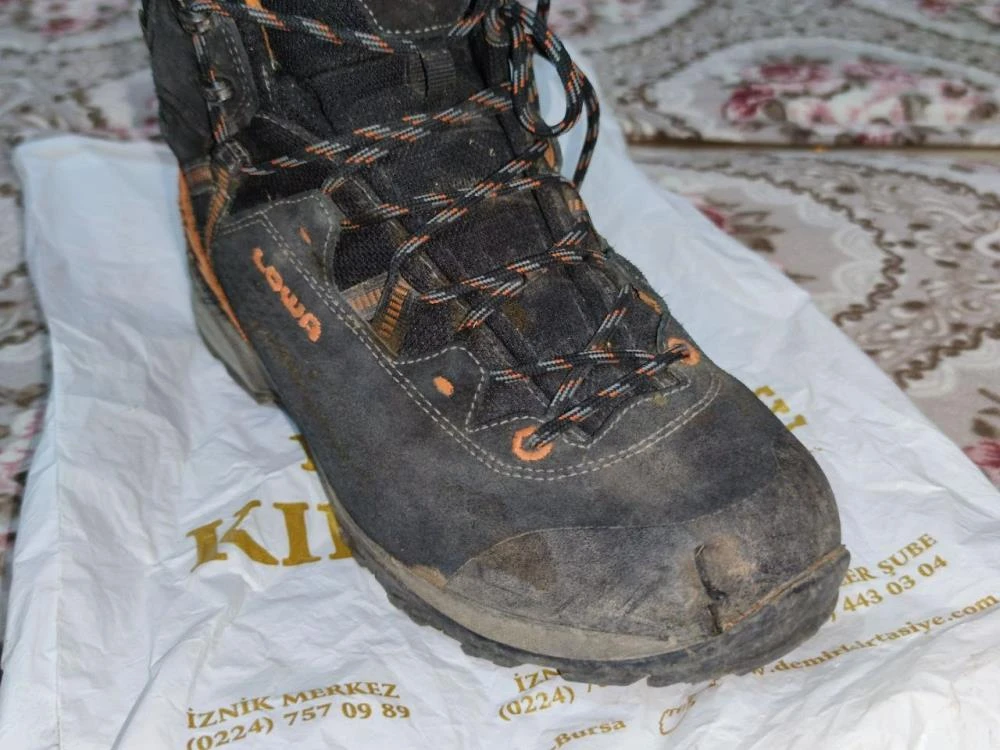 Ayı saldırısının adresi bu kez Bursa! 'Hakkımı helal etmiyorum'