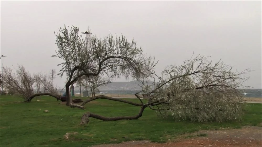 Lodos tüm Türkiye'yi esir aldı! Deniz ulaşımları durdu, dev dalgalar kıyıya vurdu